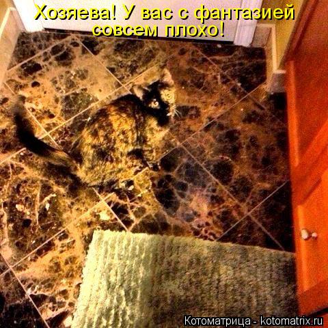 Котоматрица: Хозяева! У вас с фантазией совсем плохо!