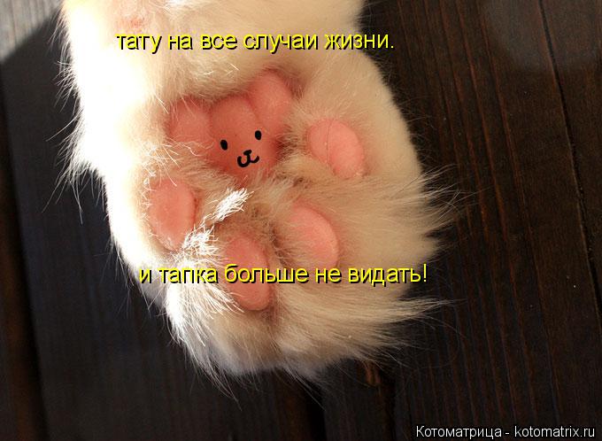 тату на все случаи жизни. и тапка больше не видать!... Котоматрица: тату на все случаи жизни. и тапка больше не видать!