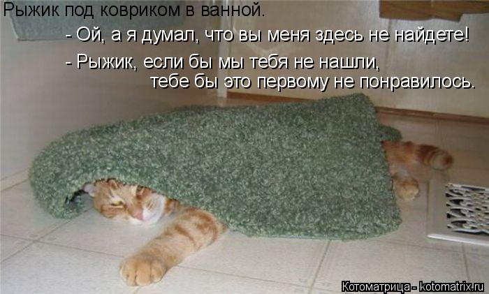 Котоматрица: Рыжик под ковриком в ванной. Рыжик под ковриком в ванной. - Ой, а я думал, что вы меня здесь не найдете! - Рыжик, если бы мы тебя не нашли,  тебе б