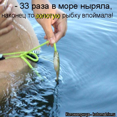 Котоматрица: - 33 раза в море ныряла,  наконец то золотую рыбку впоймала! золотую