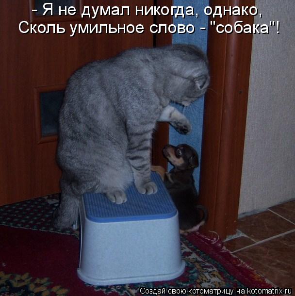 - Я не думал никогда, однако, Сколь умильное слово - "собака"!... Котоматрица: - Я не думал никогда, однако, Сколь умильное слово - "собака"!