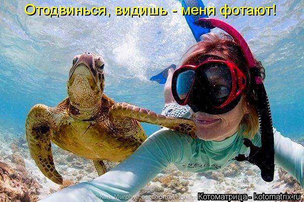 Котоматрица: Отодвинься, видишь - меня фотают!