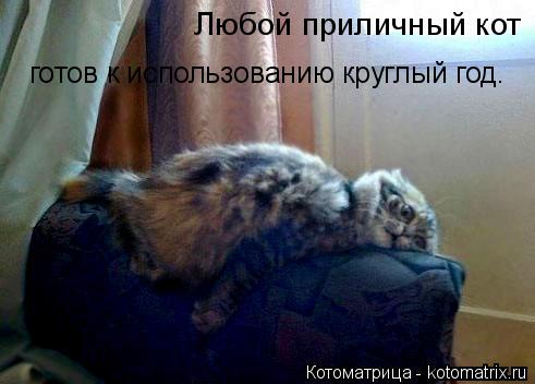 Котоматрица: Любой приличный кот  готов к использованию круглый год.