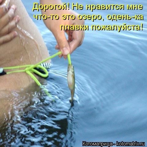 Котоматрица: Дорогой! Не нравится мне  что-то это озеро, одень-ка  плавки пожалуйста!