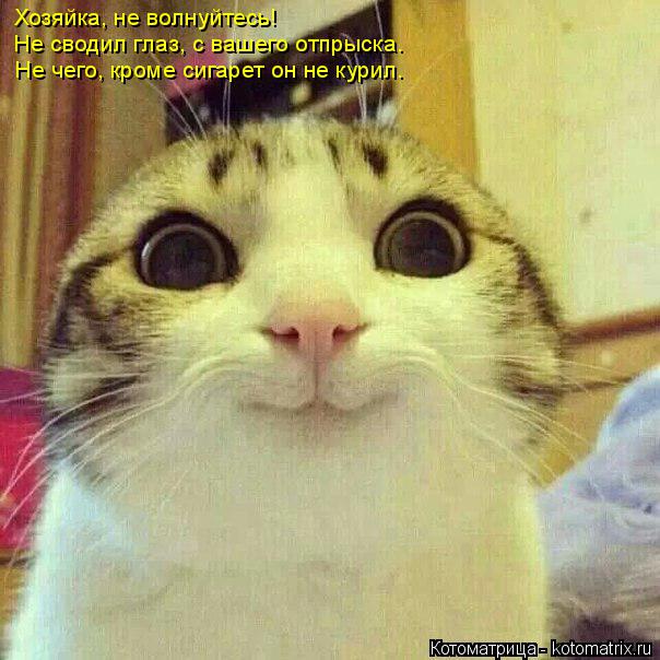 Котоматрица: Хозяйка, не волнуйтесь! Не сводил глаз, с вашего отпрыска. Не чего, кроме сигарет он не курил.