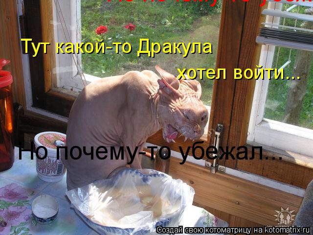 Котоматрица: Тут какой-то Дракула хотел войти... Но почему-то убежал... Но почему-то убежал... Но почему-то убежал...
