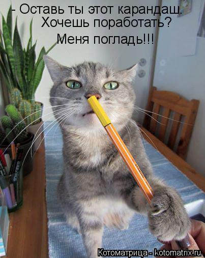 Котоматрица: - Оставь ты этот карандаш.  Хочешь поработать? Меня погладь!!!