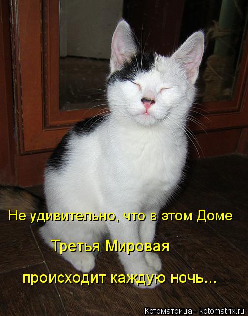 Котоматрица: Не удивительно, что в этом Доме Третья Мировая происходит каждую ночь...
