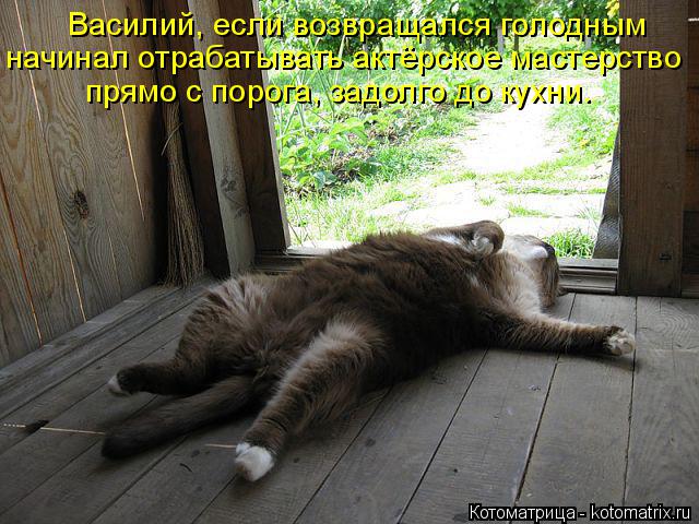 Котоматрица: Василий, если возвращался голодным начинал отрабатывать актёрское мастерство  прямо с порога, задолго до кухни.