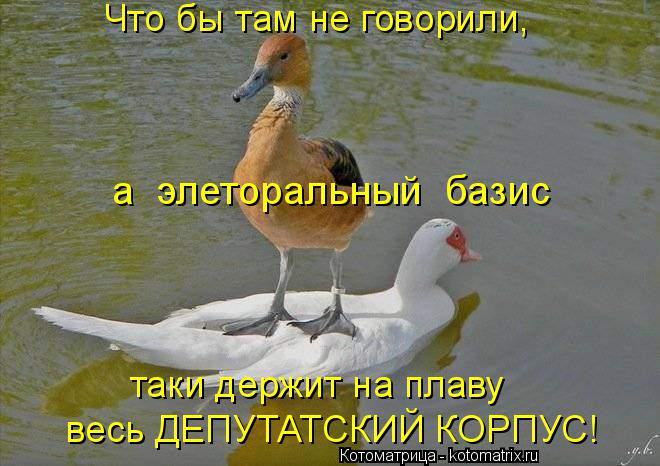 Котоматрица: Что бы там не говорили, таки держит на плаву весь ДЕПУТАТСКИЙ КОРПУС! а  элеторальный  базис