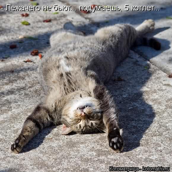 Котоматрица: - Лежачего не бьют... подумаешь, 5 котлет...