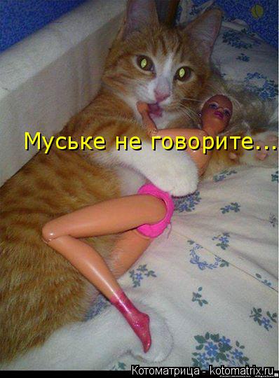 Котоматрица: Муське не говорите...