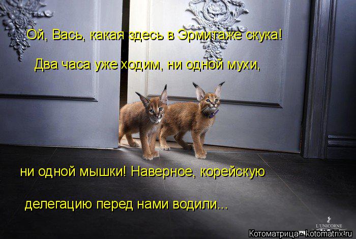 Ой, Вась, какая здесь в Эрмитаже скука! Два часа уже ходим, ни одной мухи, ни одной мышки! Наверное, ... Котоматрица: Ой, Вась, какая здесь в Эрмитаже скука! Два часа уже ходим, ни одной мухи, ни одной мышки! Наверное, корейскую делегацию перед нами водили...