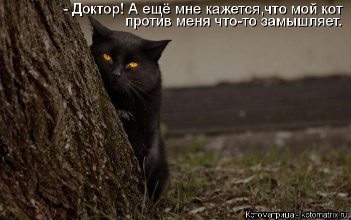 Котоматрица: - Доктор! А ещё мне кажется,что мой кот  против меня что-то замышляет.