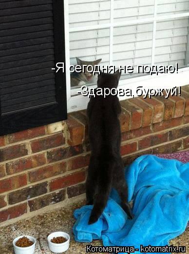 Котоматрица: -Здарова,буржуй! -Я сегодня не подаю!