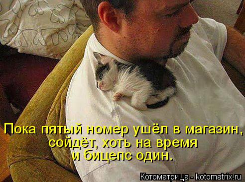 Котоматрица: Пока пятый номер ушёл в магазин, сойдёт, хоть на время и бицепс один.