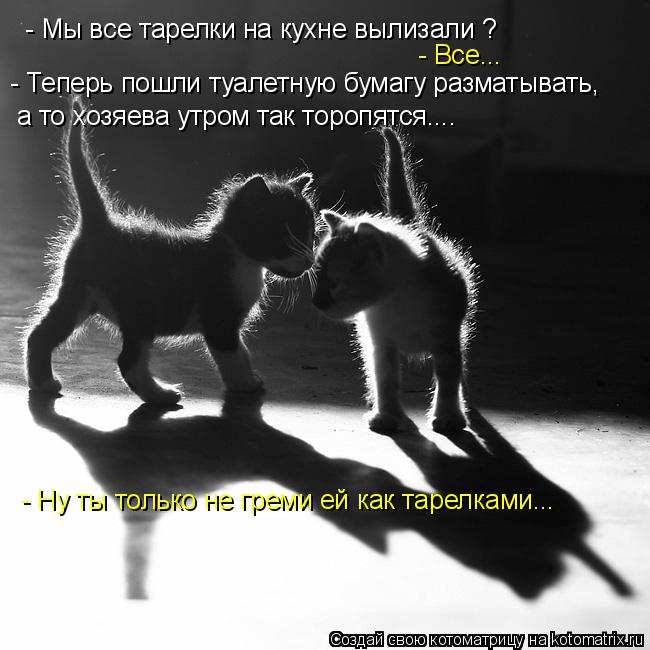Котоматрица: - Мы все тарелки на кухне вылизали ? - Все... - Теперь пошли туалетную бумагу разматывать, а то хозяева утром так торопятся.... - Ну ты только не г