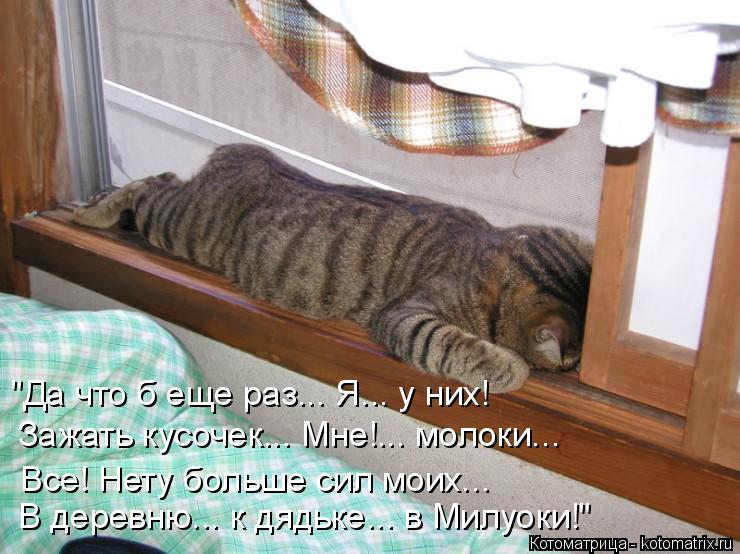 Зажать кусочек... Мне!... молоки... "Да что б еще раз... Я... у них! В деревню... к дядьке... в Милуо... Котоматрица: Зажать кусочек... Мне!... молоки... "Да что б еще раз... Я... у них! В деревню... к дядьке... в Милуоки!" Все! Нету больше сил моих...