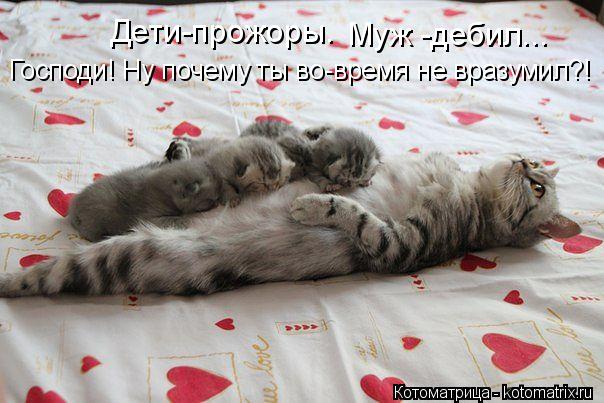 Котоматрица: Дети-прожоры. Муж -дебил... Господи! Ну почему ты во-время не вразумил?!