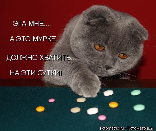 Котоматрица: ЭТА МНЕ.... А ЭТО МУРКЕ.. ДОЛЖНО ХВАТИТЬ... НА ЭТИ СУТКИ!