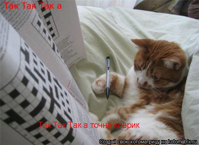 Котоматрица: Так Так Так а  Так Так Так а точно коврик