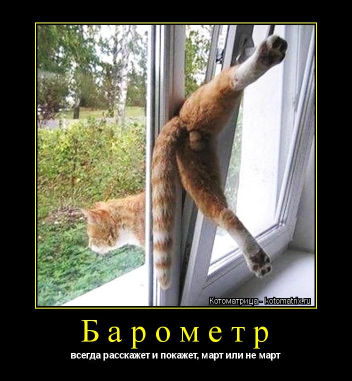 Котоматрица: Барометр всегда расскажет и покажет, март или не март