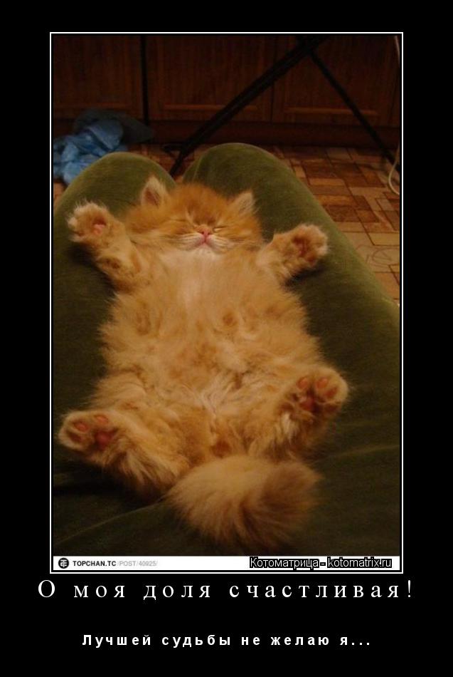 О моя доля счастливая! Л у ч ш е й с у д ь б ы н е ж е л а ю я . . .... Котоматрица: О моя доля счастливая! Л у ч ш е й с у д ь б ы н е ж е л а ю я . . .