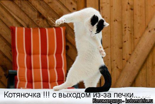 Котяночка !!! с выходом из-за печки...... Котоматрица: Котяночка !!! с выходом из-за печки...