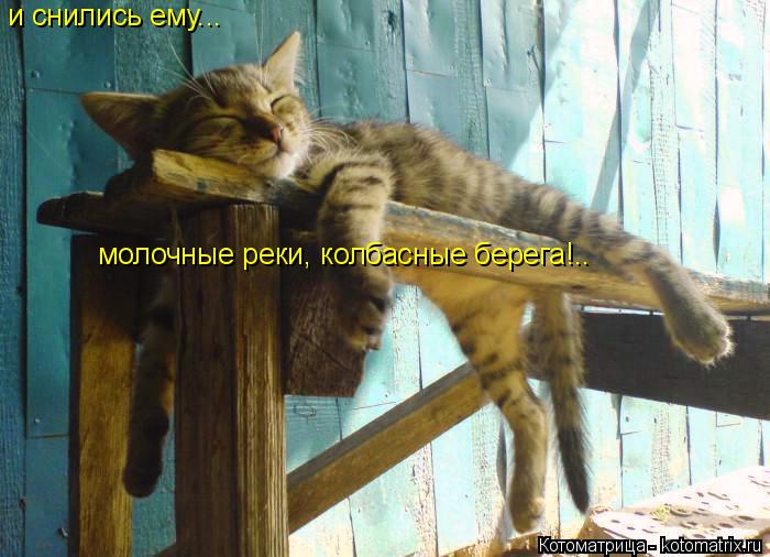 и снились ему... молочные реки, колбасные берега!..... Котоматрица: и снились ему... молочные реки, колбасные берега!..