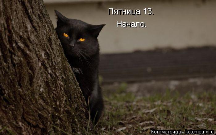 Пятница 13. Начало.... Котоматрица: Пятница 13. Начало.