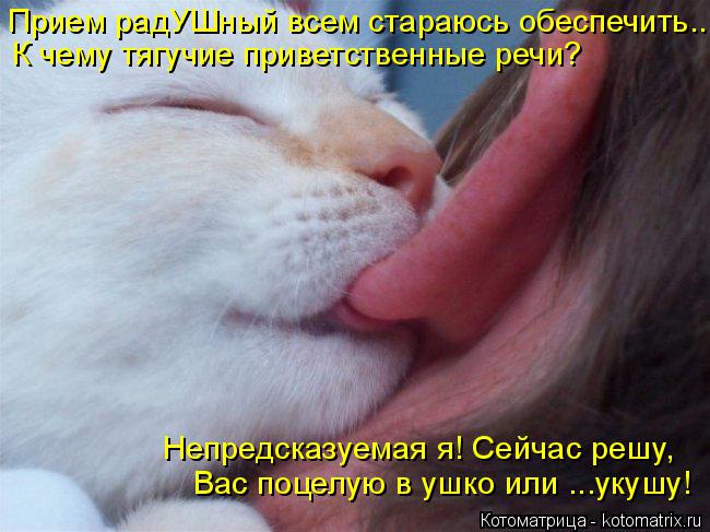 Котоматрица: Прием радУШный всем стараюсь обеспечить.. К чему тягучие приветственные речи? Вас поцелую в ушко или ...укушу! Непредсказуемая я! Сейчас решу