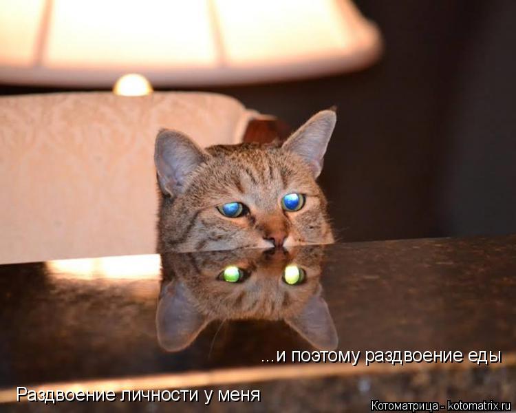 Котоматрица: Раздвоение личности у меня ...и поэтому раздвоение еды