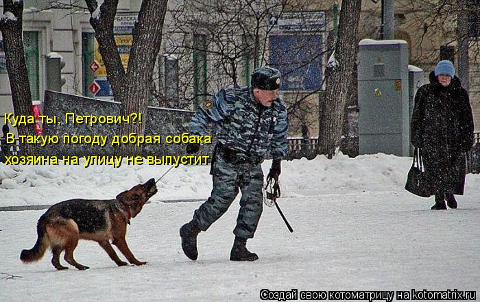 Котоматрица: Куда ты, Петрович?! В такую погоду добрая собака хозяина на улицу не выпустит