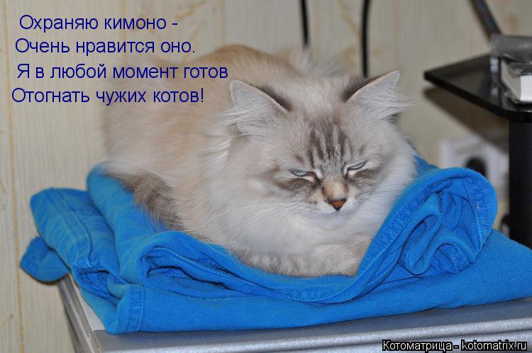 Охраняю кимоно - Очень нравится оно. Я в любой момент готов Отогнать чужих котов!... Котоматрица: Охраняю кимоно - Очень нравится оно. Я в любой момент готов Отогнать чужих котов!