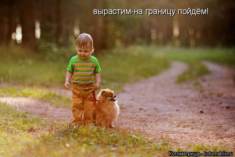 вырастим-на границу пойдём!... Котоматрица: вырастим-на границу пойдём!