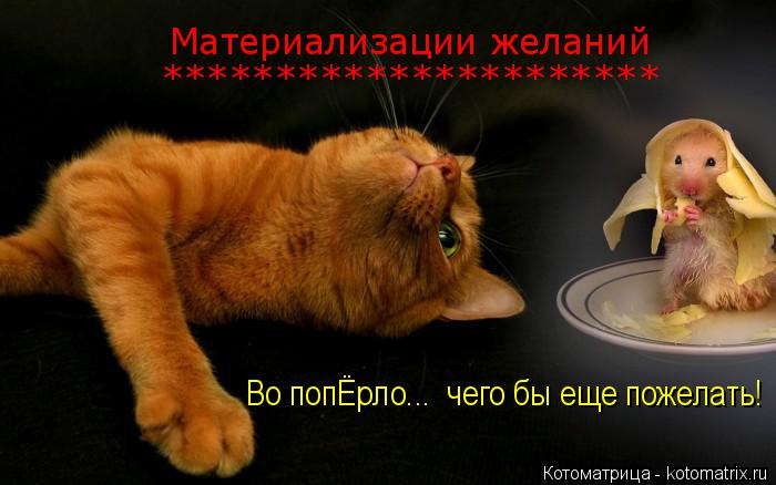 Материализации желаний ********************** Во попЁрло... чего бы еще пожелать!... Котоматрица: Материализации желаний ********************** Во попЁрло... чего бы еще пожелать!