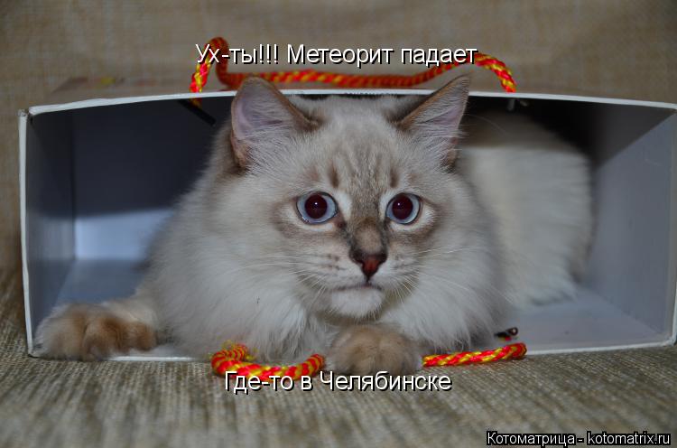 Ух-ты!!! Метеорит падает Где-то в Челябинске... Котоматрица: Ух-ты!!! Метеорит падает Где-то в Челябинске