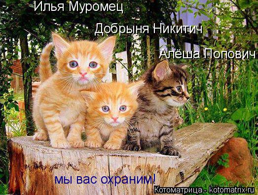 Илья Муромец Добрыня Никитич Алёша Попович мы вас охраним!... Котоматрица: Илья Муромец Добрыня Никитич Алёша Попович мы вас охраним!
