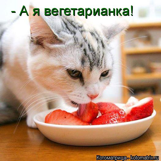 Котоматрица: - А я вегетарианка!