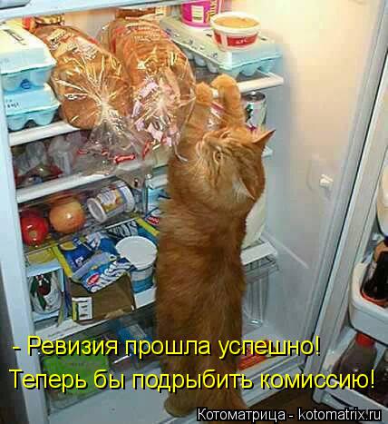 Котоматрица: - Ревизия прошла успешно! Теперь бы подрыбить комиссию!