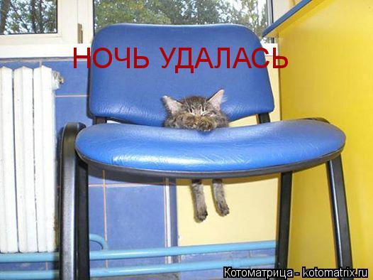 Котоматрица: НОЧЬ УДАЛАСЬ