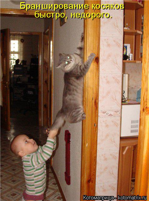 Бранширование косяков быстро, недорого.... Котоматрица: Бранширование косяков быстро, недорого.