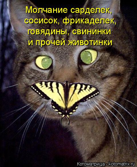 Молчание сарделек, сосисок, фрикаделек, говядины, свининки и прочей животинки... Котоматрица: Молчание сарделек, сосисок, фрикаделек, говядины, свининки и прочей животинки