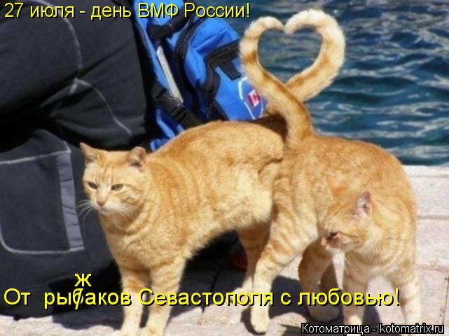 Котоматрица: 27 июля - день ВМФ России! От  рыбаков Севастополя с любовью! / ж