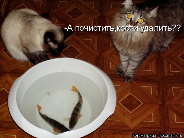 Котоматрица: -А почистить,кости удалить??