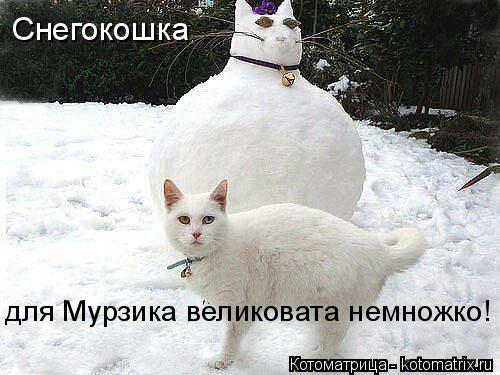 Котоматрица: Снегокошка  для Мурзика великовата немножко!