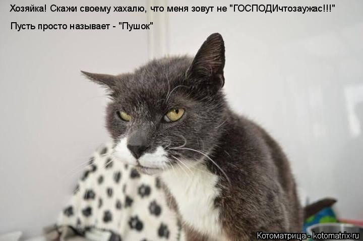 Котоматрица: Хозяйка! Скажи своему хахалю, что меня зовут не "ГОСПОДИчтозаужас!!!" Пусть просто называет - "Пушок"
