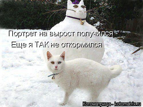 Котоматрица: Портрет на вырост получился - Еще я ТАК не откормился