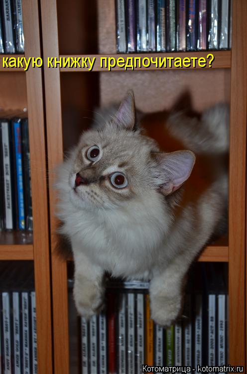 какую книжку предпочитаете?... Котоматрица: какую книжку предпочитаете?