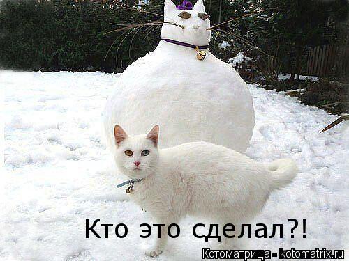 Кто это сделал?!... Котоматрица: Кто это сделал?!